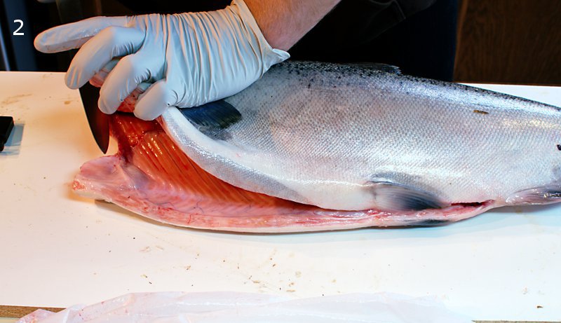 fillet 2