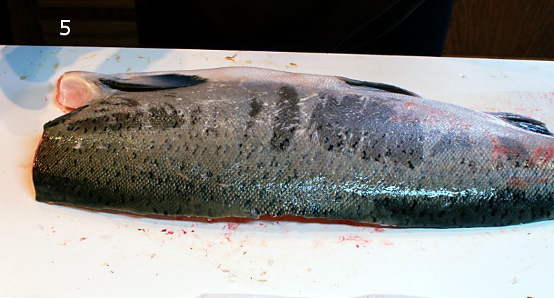 fillet 5