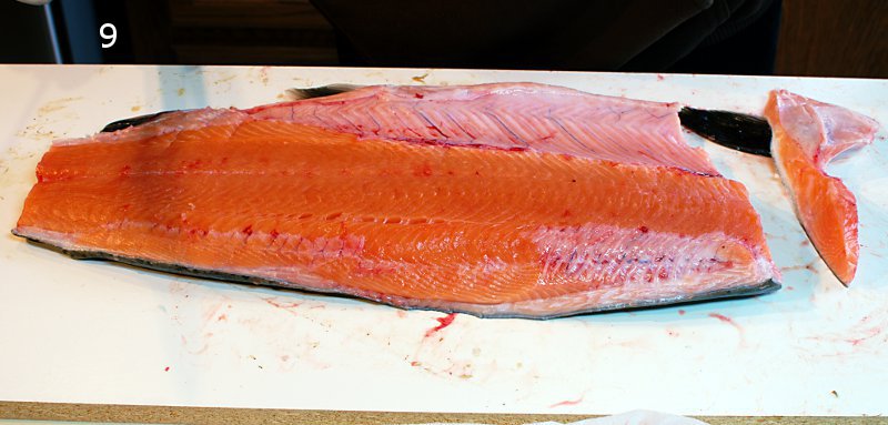 fillet-9
